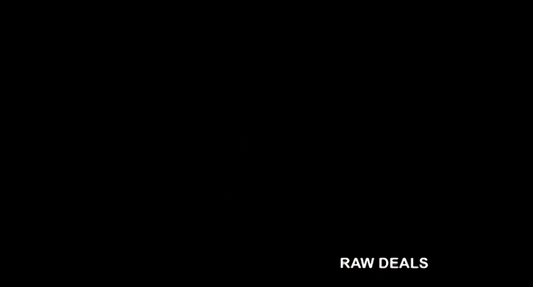 RAW DEALS 15