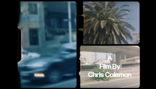 THE PALMS