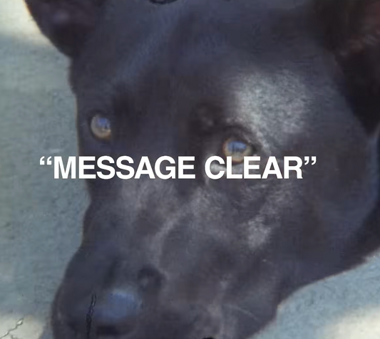 MESSAGE CLEAR