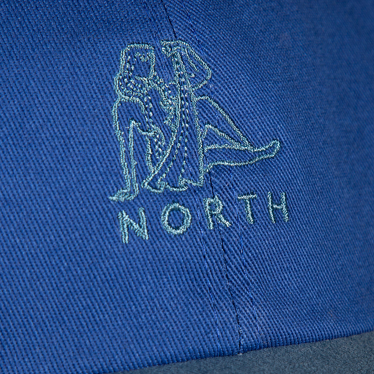 North Zodiac Logo Cap - Blue/Light Navy